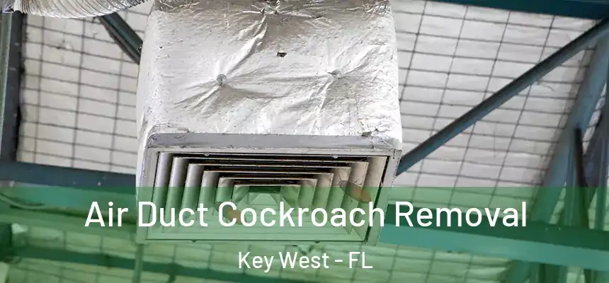 Air Duct Cockroach Removal Key West - FL
