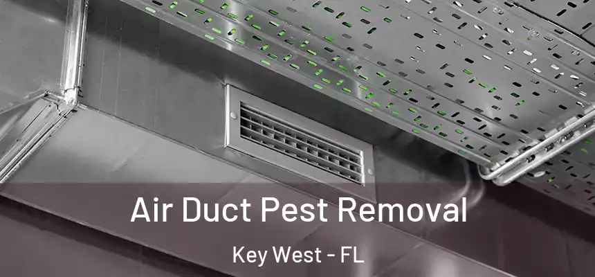 Air Duct Pest Removal Key West - FL