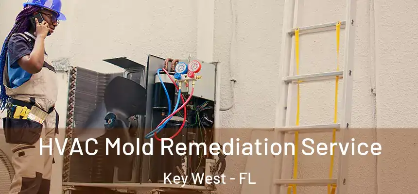 HVAC Mold Remediation Service Key West - FL