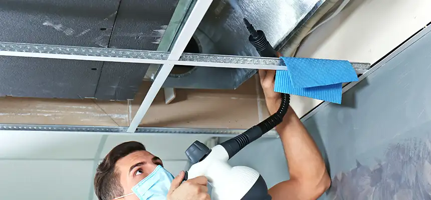 Our Air Duct Rodent Removal Services in Key West, FL