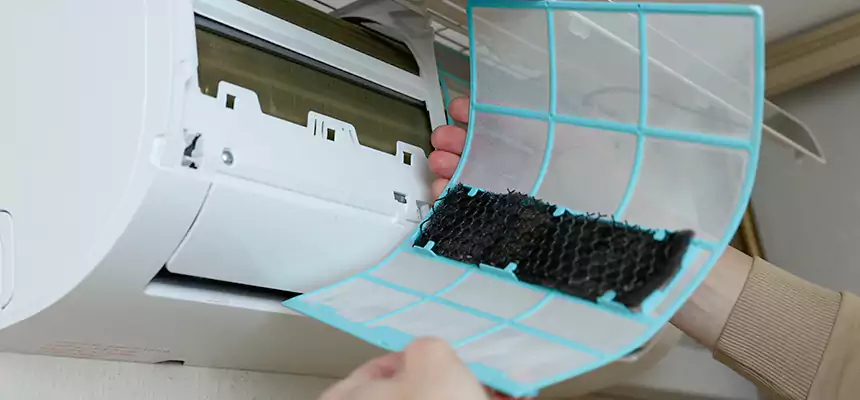 Gentle Ductwork Odor-Control Pet Dander Duct Cleaning in Key West, FL