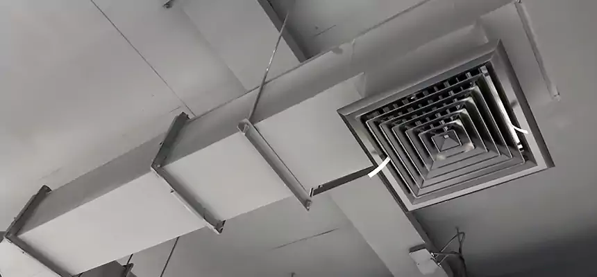 Our Rodent Droppings In Vents Services in Key West, FL