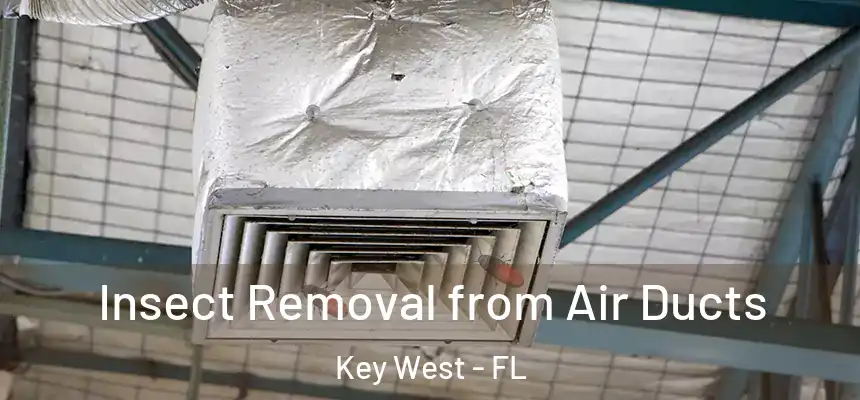 Insect Removal from Air Ducts Key West - FL