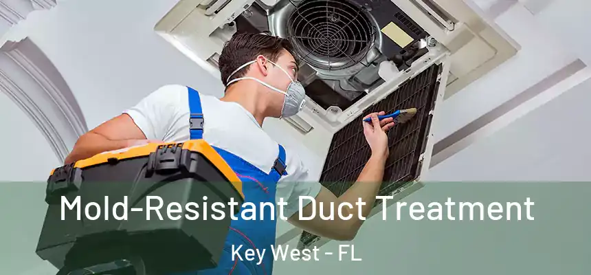 Mold-Resistant Duct Treatment Key West - FL