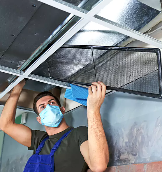 Professional Air Duct Pollen Cleaning in Key West, FL