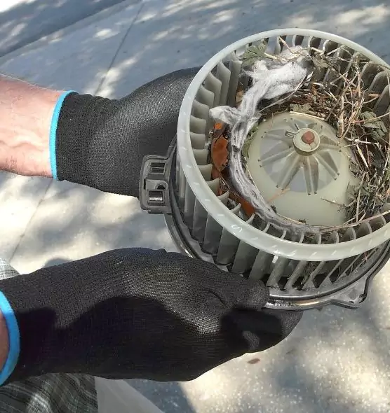 About Air Duct Rat Removal in Key West, FL