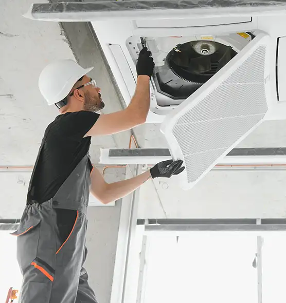 About Air Duct Rodent Removal in Key West, FL