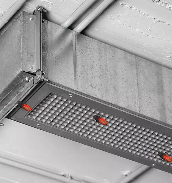 Affordable Insect Removal from Air Ducts in Key West, FL