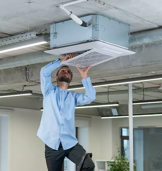 Advanced Rodent Droppings In Vents in Key West, FL