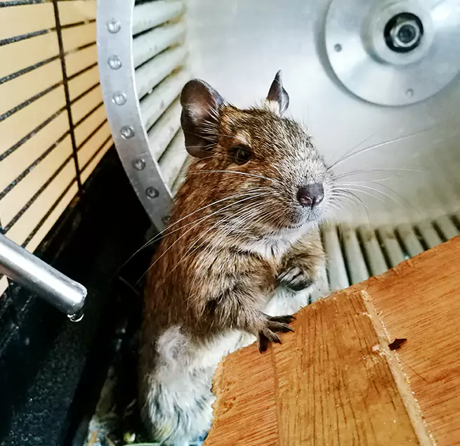 Why Homeowners & Businesses Trust Us Key West, FL