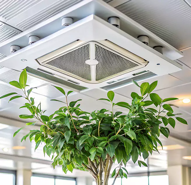 Why Homeowners & Businesses Trust Us in Key West, FL?