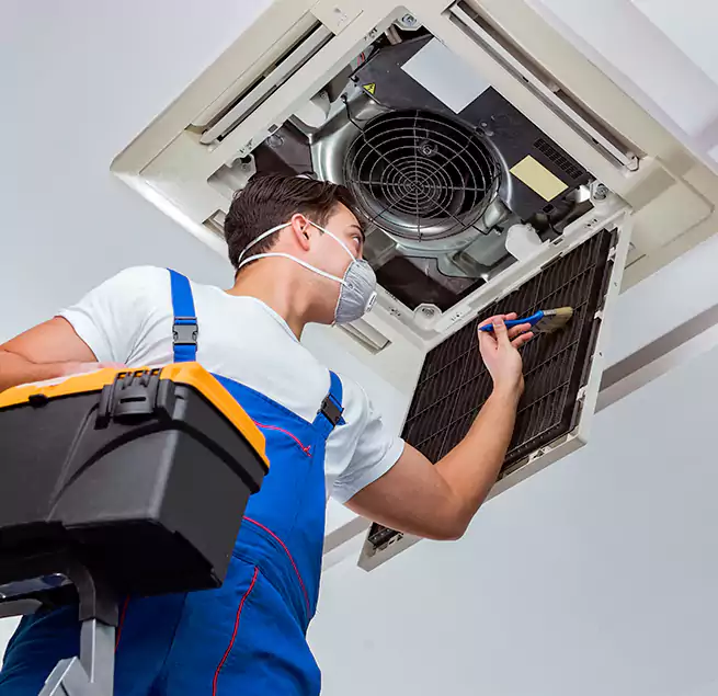 Why Homeowners & Businesses Trust Us in Key West, FL?