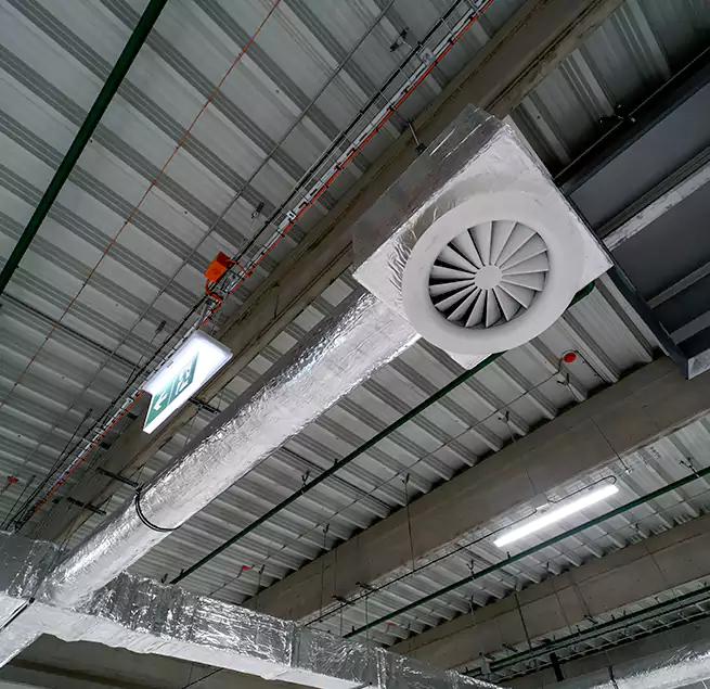 Why Homeowners & Businesses Trust Us in Key West, FL