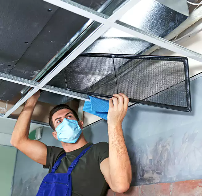 Why Homeowners Businesses Trust Us in Key West, FL